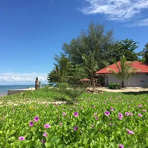 Red Coral , Langkawi Malaysia
